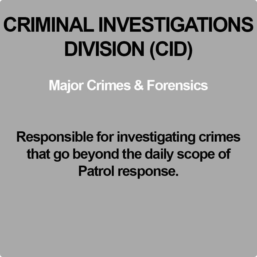 cid Card Back