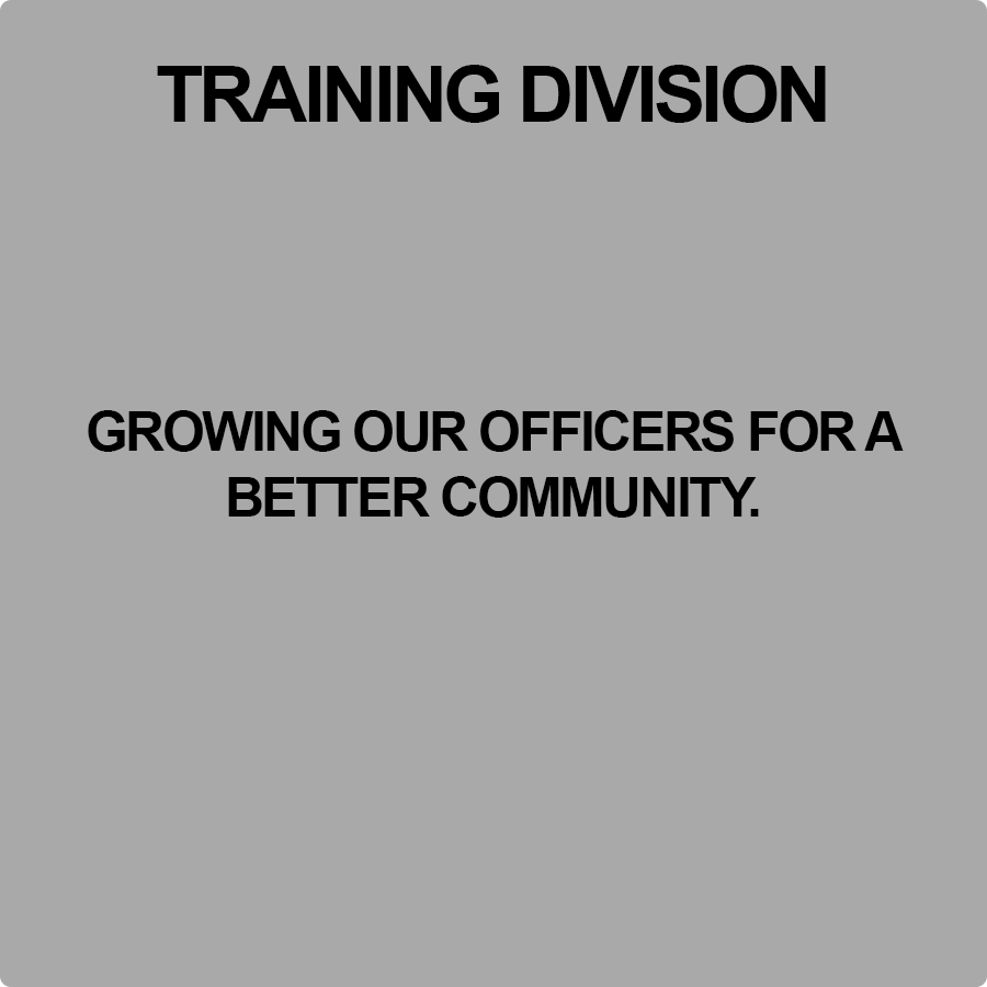 TRAINING Card Back